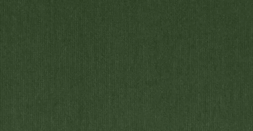 Frame Loveseat – Verde Césped