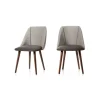 Juego de 2 sillas de comedor Lule – Terciopelo gris claro y gris oscuro
